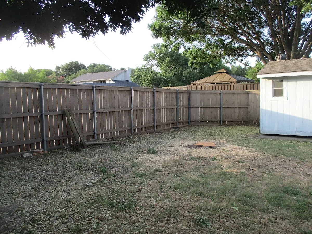Cleared yard after professional tree removal in Keeler